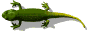 <<< Iguanas make great pets >>>